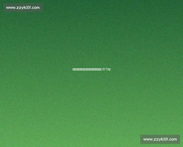 郑钦文创历史新高稳居前五，中国金花闪耀 WTA！