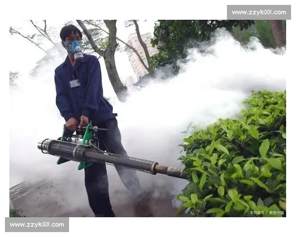 登革热防控现状与挑战：全球传播趋势、预防措施与未来应对策略分析